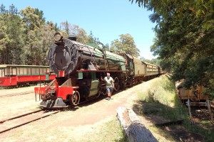 Parni lokomotiva v Pembertonu